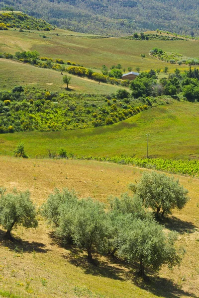 Landskap av Sicilienkrajina na Sicílii — Stockfoto