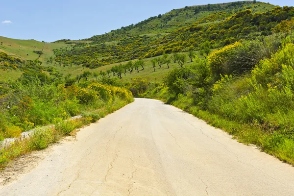 Camino en Sicilia — Foto de Stock