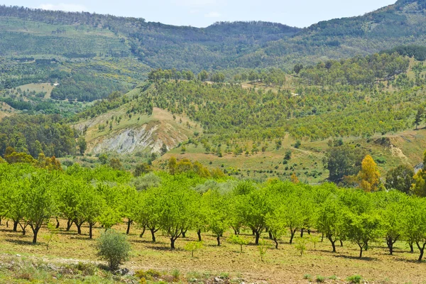 Paisagem da Sicília — Fotografia de Stock