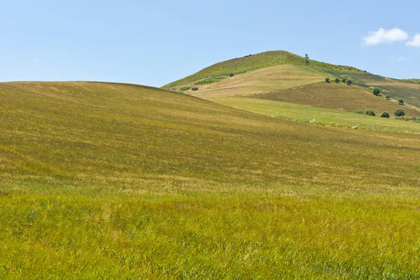 Manzara Sicilya — Stok fotoğraf