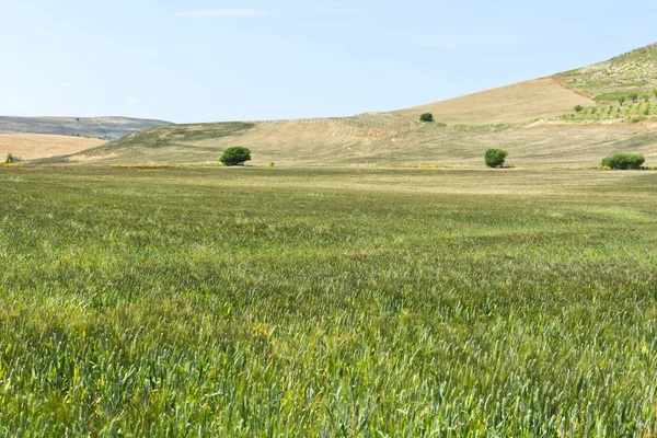 Landscape of Sicily — Stock Photo, Image