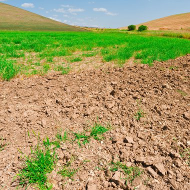 Sicilya'nın tepeleri