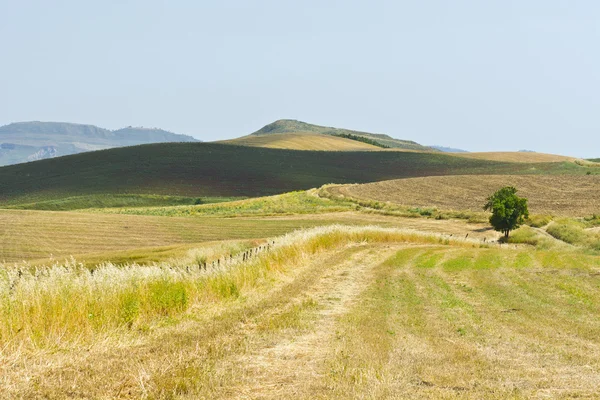 Manzara Sicilya — Stok fotoğraf