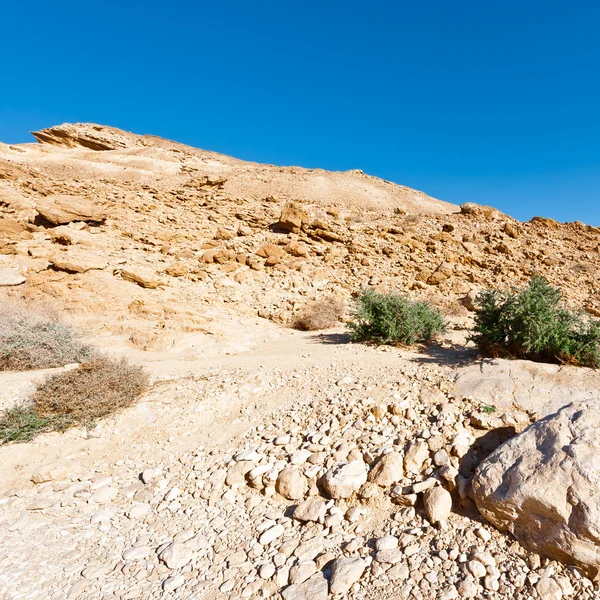 Désert du Néguev en Israël — Photo