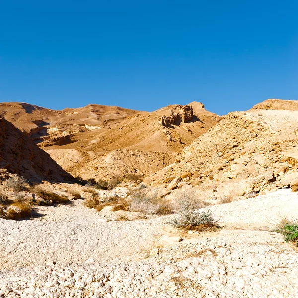 İsrail 'de Negev Çölü — Stok fotoğraf