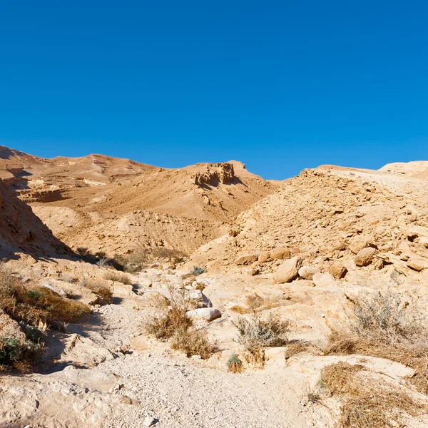 İsrail 'de Negev Çölü