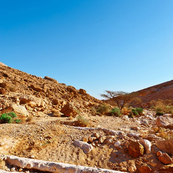 Deserto de Negev em Israel — Fotografia de Stock