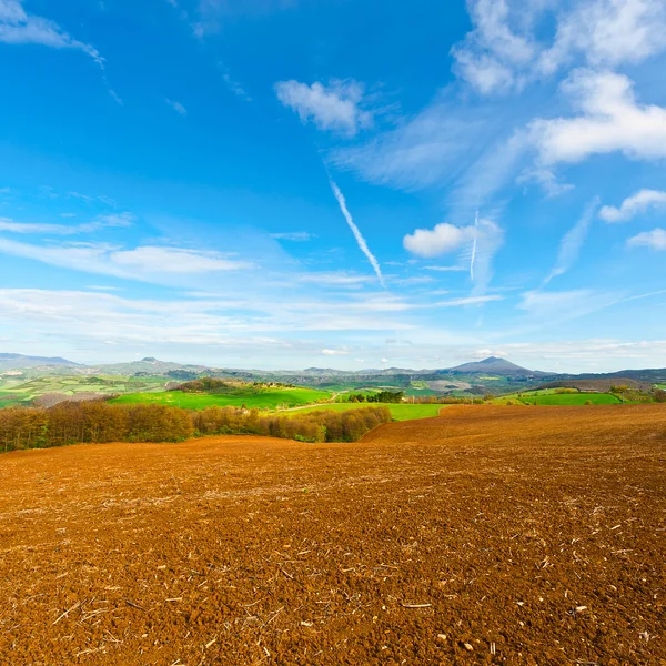 Meadows of Tuscany — Stock Photo, Image