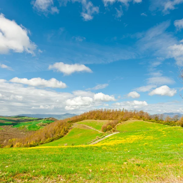 Prados de Toscana — Foto de Stock