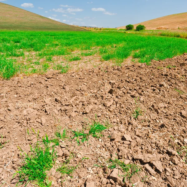 Sicilya'nın tepeleri