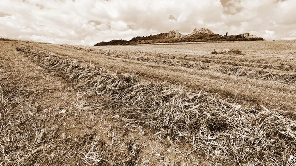 Buğday alanları Sicilya — Stok fotoğraf