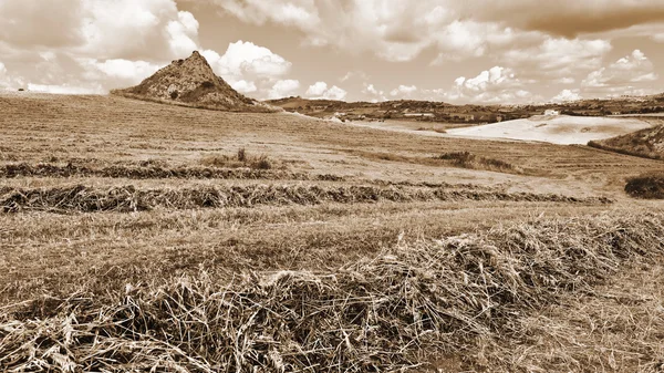 Buğday alanları Sicilya — Stok fotoğraf