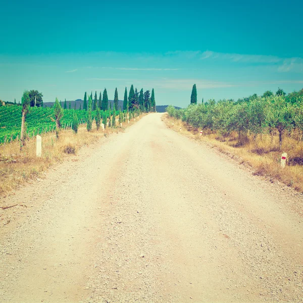 Agriculture in Italy — Stock Photo, Image