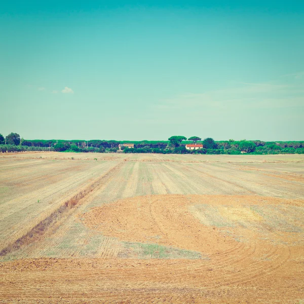 Campo de Toscana — Foto de Stock