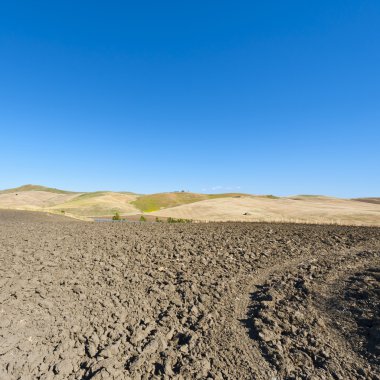 Sicilya alanlarında