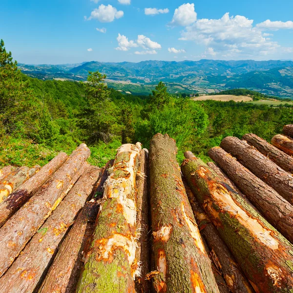 Firewood in Italy — Stock Photo, Image