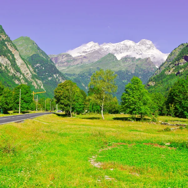 Cime innevate nelle Alpi — Foto Stock