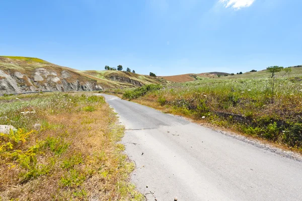 Straße zwischen Feldern — Stockfoto