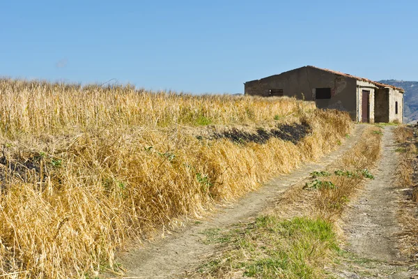 Abgeerntete Felder in Sizilien — Stockfoto