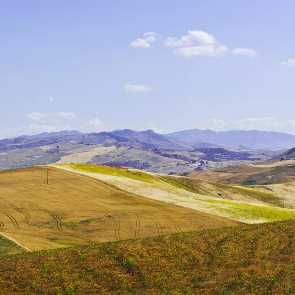 Campos de trigo cosechado — Foto de Stock