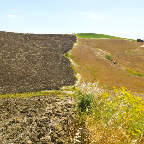 Sicily betakarított Fieldsin — Stock Fotó