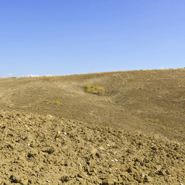Geoogstvan Fieldsin Sicilië — Stockfoto