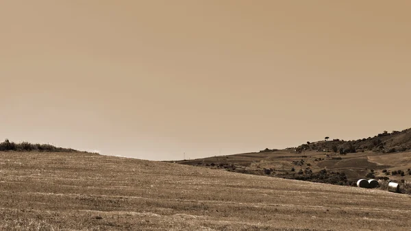 Sklizené Fieldsin Sicílie — Stock fotografie