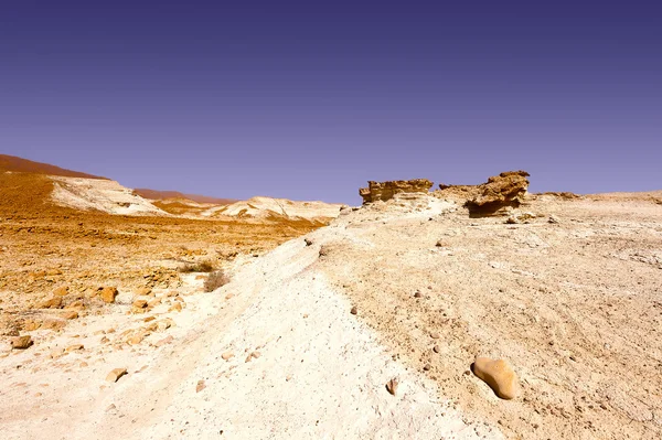 Desert in Israel — Stock Photo, Image