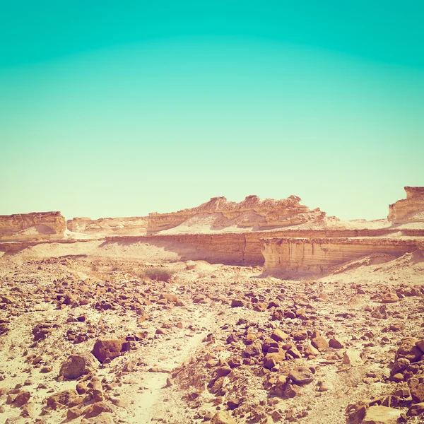 Desert in Israel — Stock Photo, Image