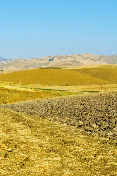 Campi e turbine eoliche — Foto Stock