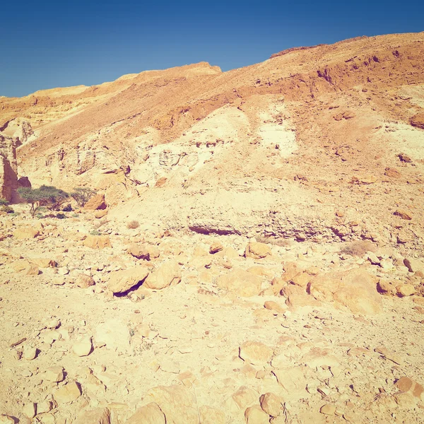 Deserto del Negev in Israele — Foto Stock