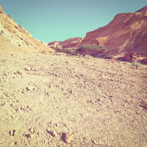 Deserto de Negev em Israel — Fotografia de Stock