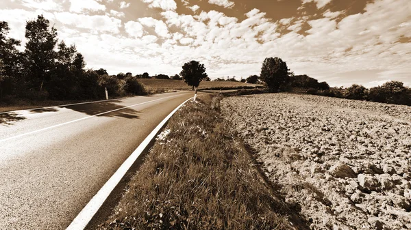 Asfalt yol intuscany — Stok fotoğraf