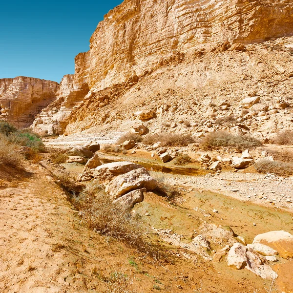 Canyon nl Avedat — Stockfoto