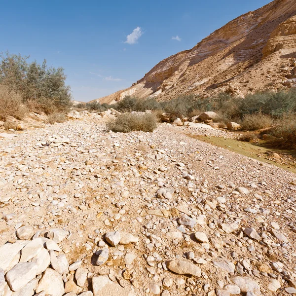 Canyon En Avedat — Stock Photo, Image