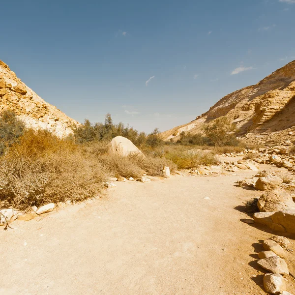 Canyon En Avedat — Stock fotografie