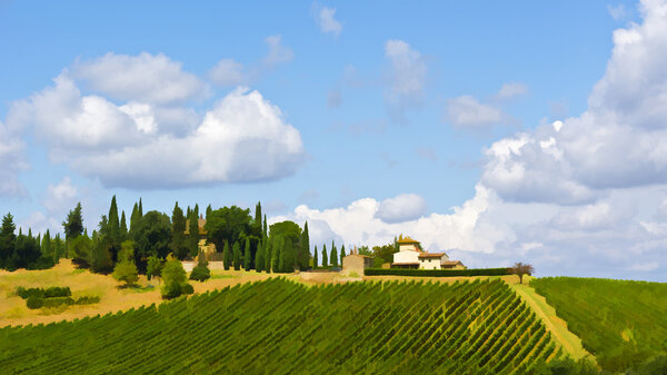 Vineyard in the Autumn 