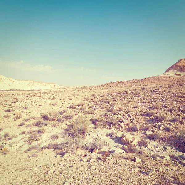 Deserto em Israel — Fotografia de Stock