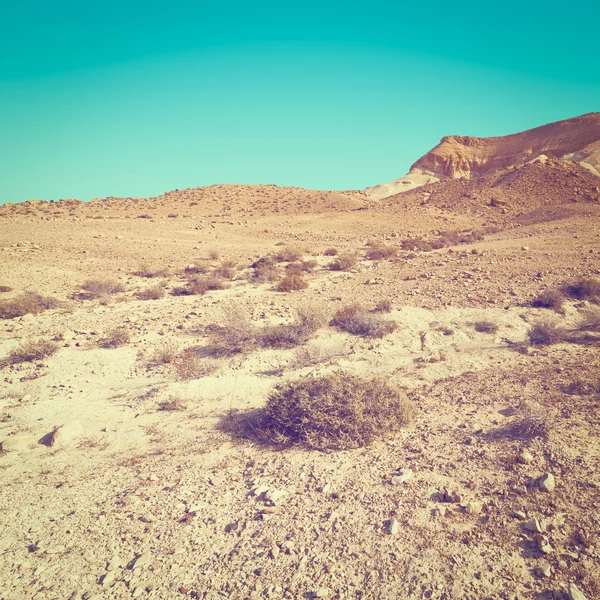 Deserto in Israele — Foto Stock