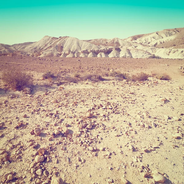 Deserto em Israel — Fotografia de Stock