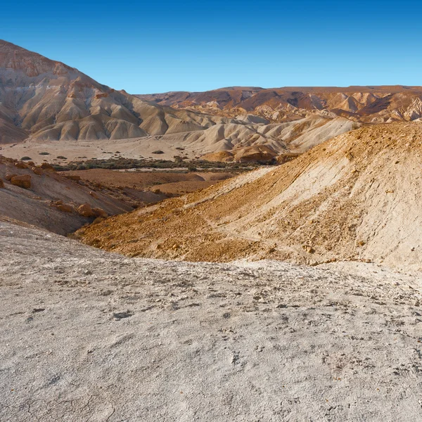 Desierto en Israel —  Fotos de Stock