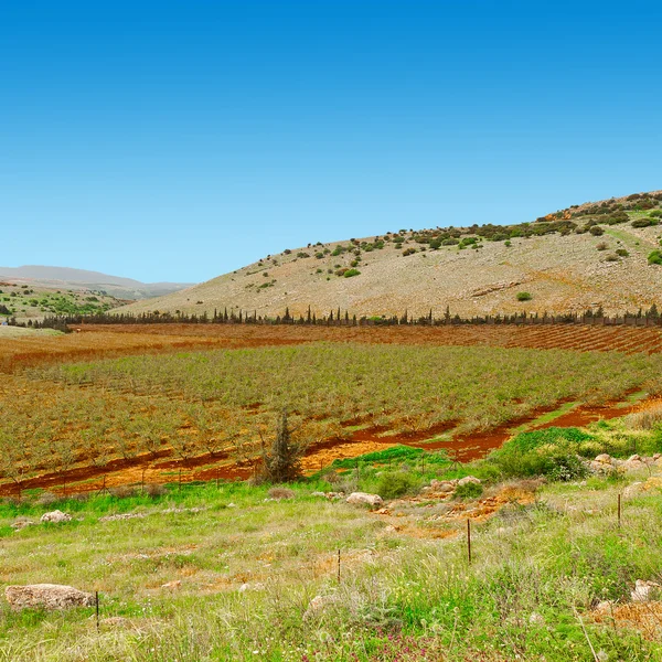 Galilee in Israel — Stock Photo, Image