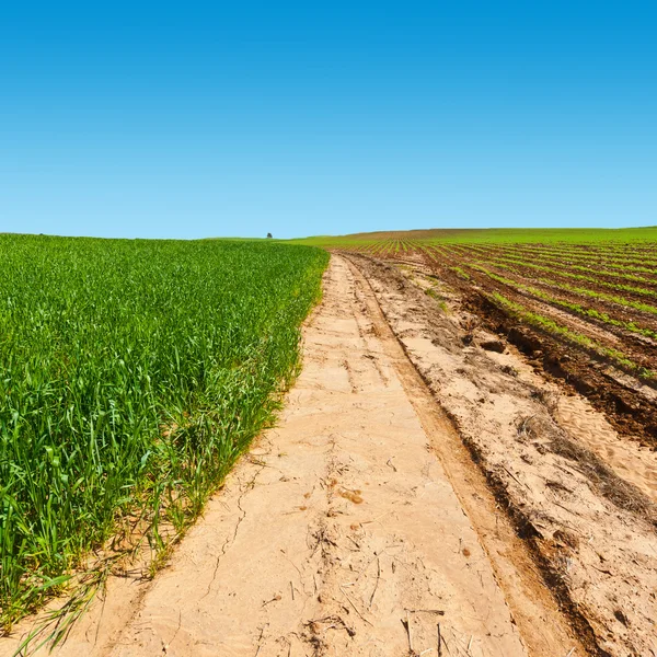 Strada sterrata in Israele — Foto Stock