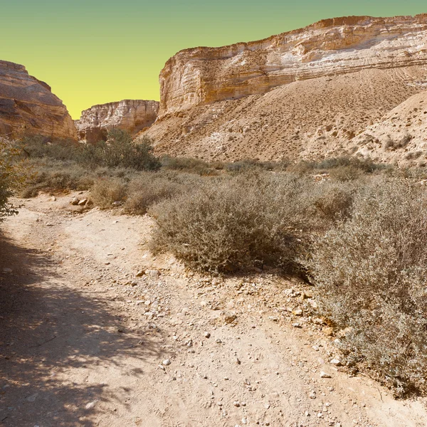 Desert at Sunset — Stock Photo, Image