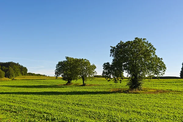 Fields in France — Stock Photo, Image