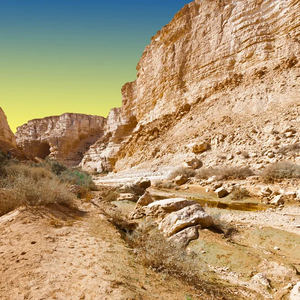 Öken i israel — Stockfoto