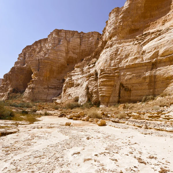 Canyon dans le désert — Photo