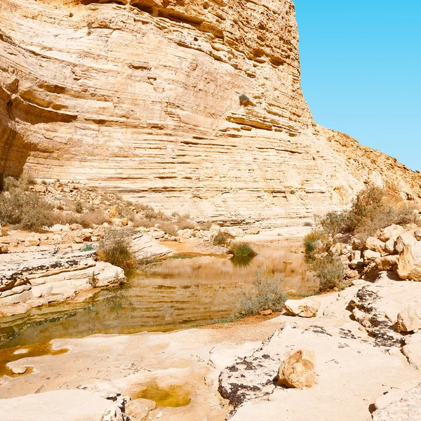 Schlucht in der Wüste — Stockfoto