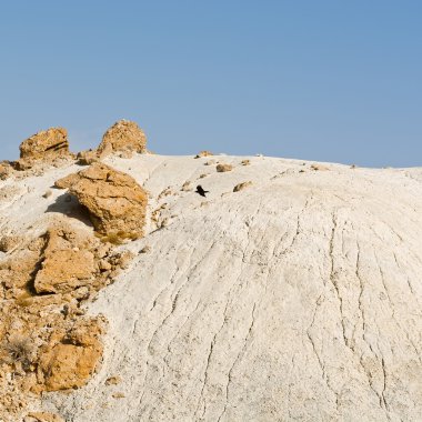 İsrail 'de Negev Çölü
