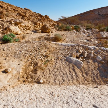 İsrail 'de Negev Çölü